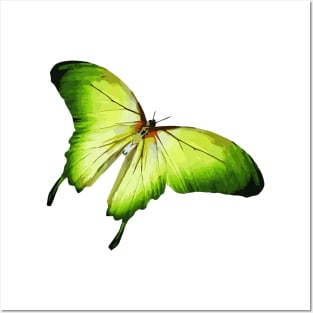 Green Butterfly Digital Painting Posters and Art